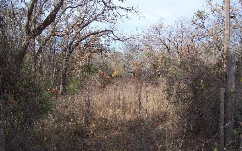 Empty lot with trees and overgrown grass in Hillsboro, Texas.