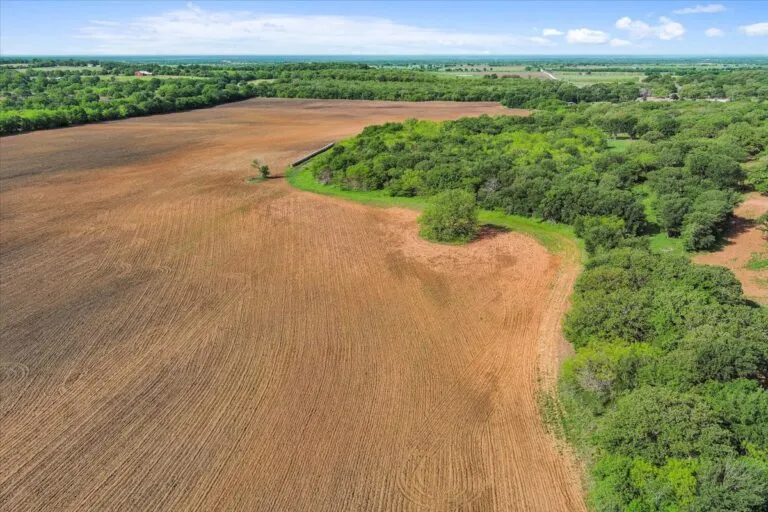 10 HCR 1212 10 1 768x512