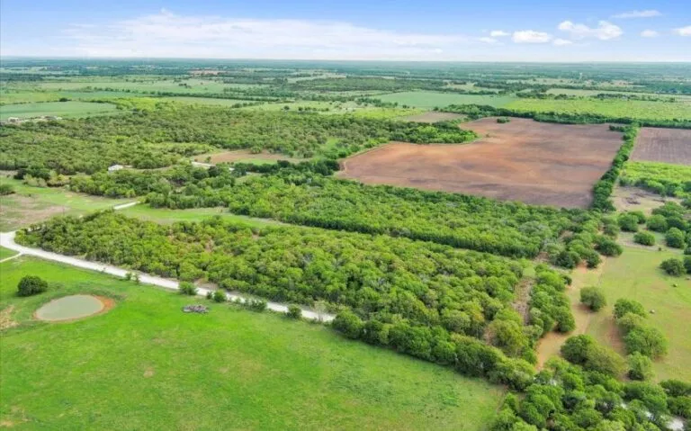 02 HCR 1212 2 850x530 1 768x479