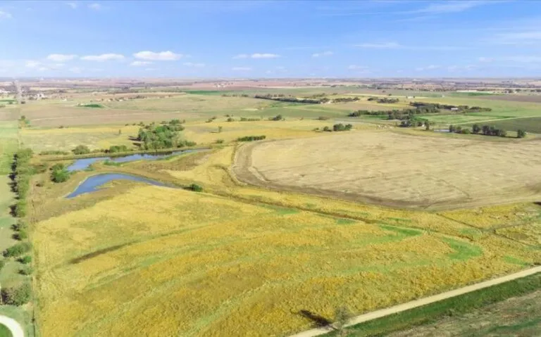 03 TBD HCR 1359 3 850x530 1 768x479