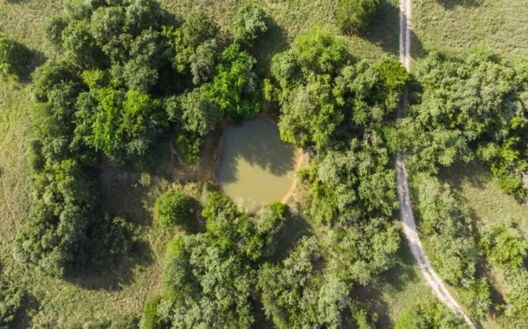 04 524 HCR 2125 5 mls 1 850x530 1 768x479