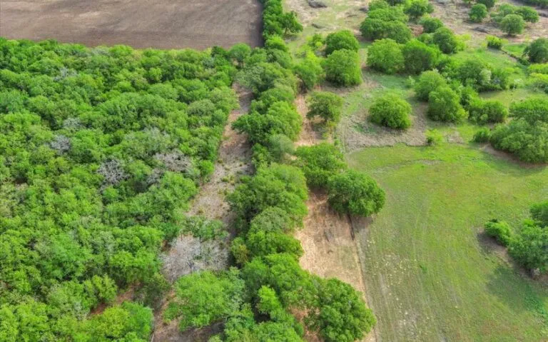 05 HCR 1212 5 850x530 1 768x479