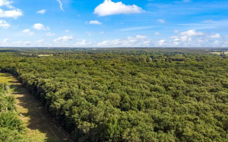 05 HCR 1307 4 mls 850x530 1 768x479