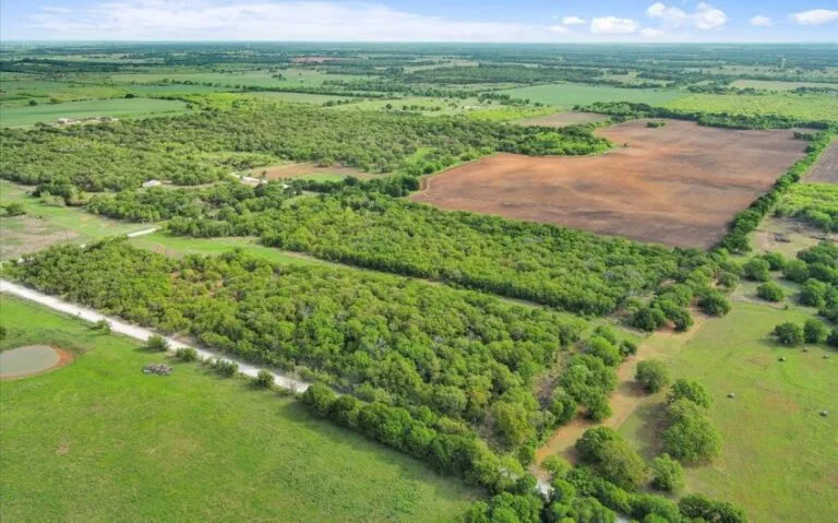 06 HCR 1212 6 850x530 1 768x479