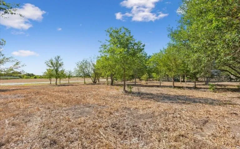 06 TBD Cottonwood Rd 3 850x530 1 768x479