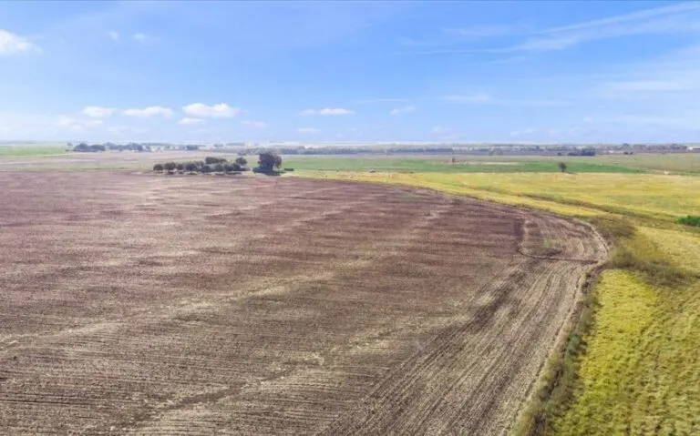 06 TBD HCR 1359 6 850x530 1 768x479