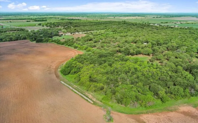 07 HCR 1212 7 850x530 1 768x479