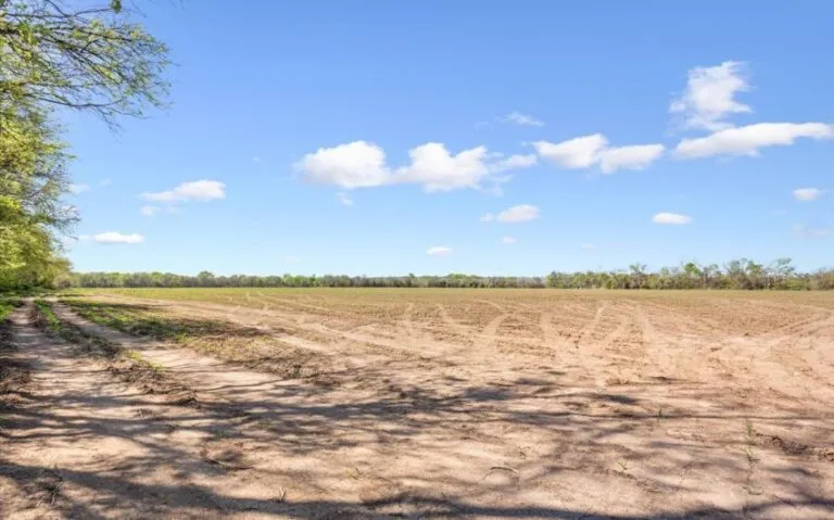 07 TBD HCR 2302 S 7 850x530 1 768x479