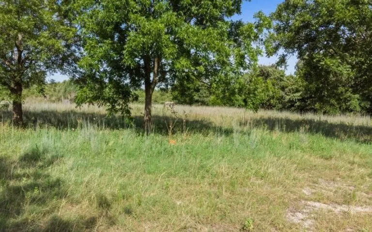 07 524 HCR 2125 1 mls 850x530 1 768x479