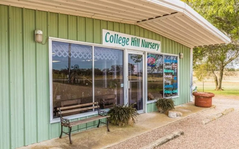 07 BN4A5213 850x530 1 768x479