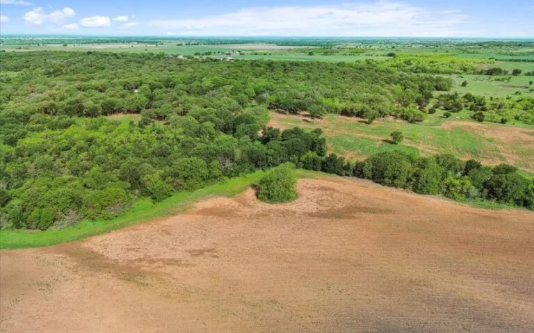 08 HCR 1212 8 850x530 1 768x479