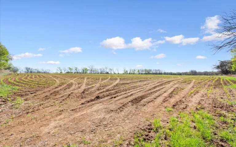 08 TBD HCR 2302 S 4 850x530 1 768x479