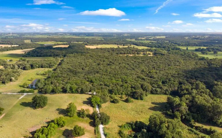 08 HCR 1307 7 mls 850x530 1 768x479