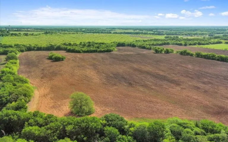 09 HCR 1212 9 850x530 1 768x479