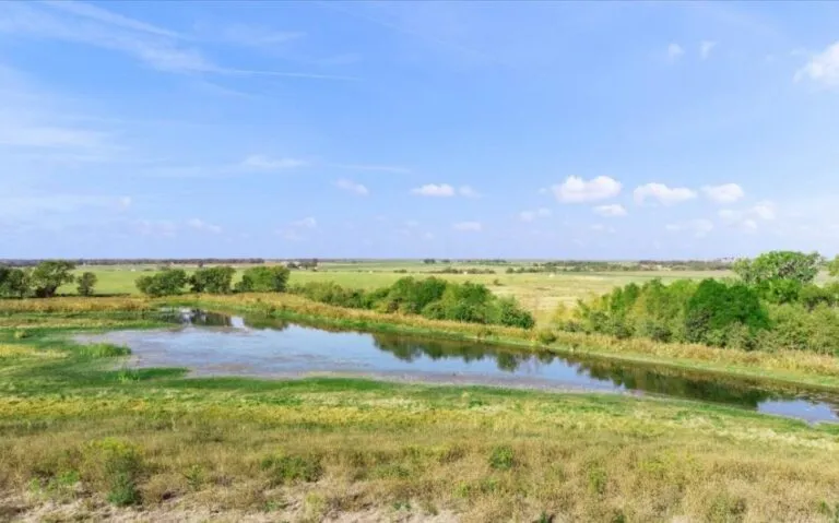 09 TBD HCR 1359 9 850x530 1 768x479