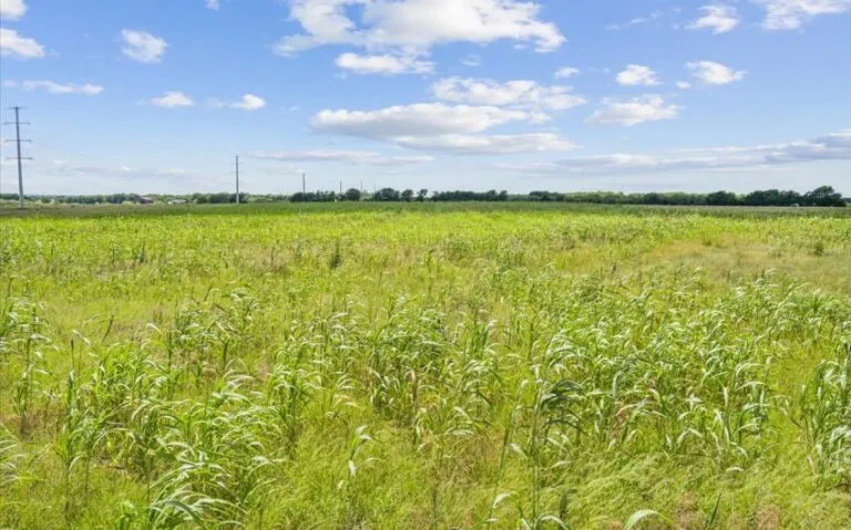 09 TBD HCR 2344 12 850x530 1 768x479