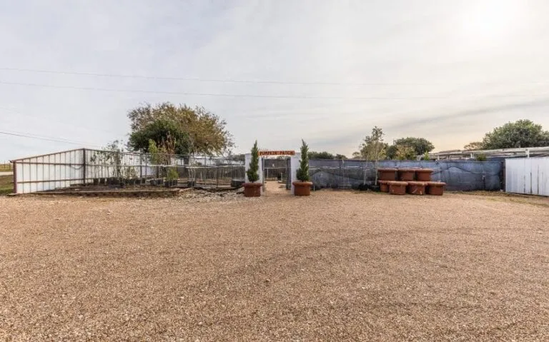 09 BN4A5198 850x530 1 768x479