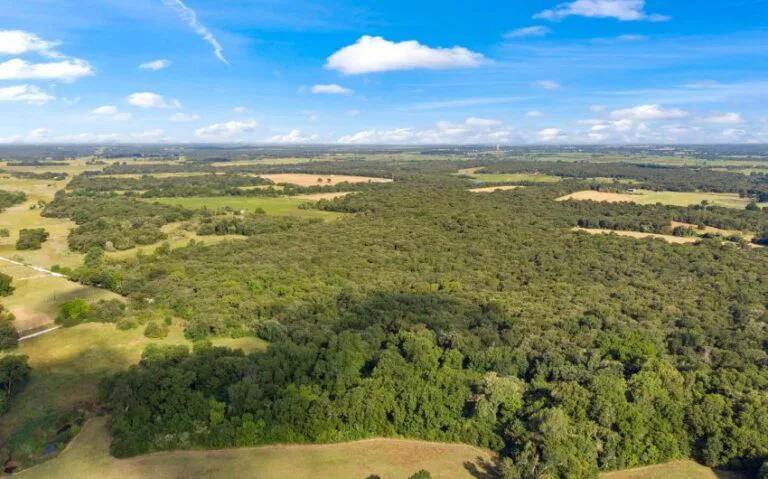 09 HCR 1307 8 mls 850x530 1 768x479