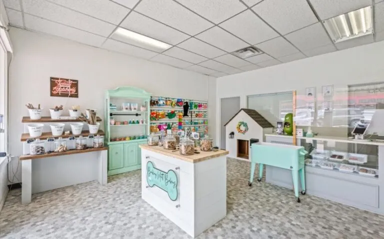 10 115 E Franklin 5 850x530 1 768x479