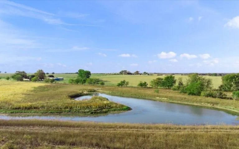 10 TBD HCR 1359 10 850x530 1 768x479