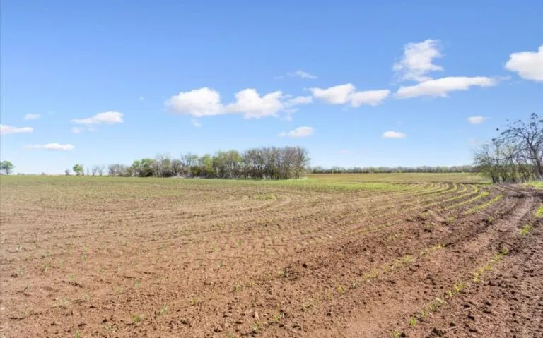 10 TBD HCR 2302 S 5 850x530 1 768x479