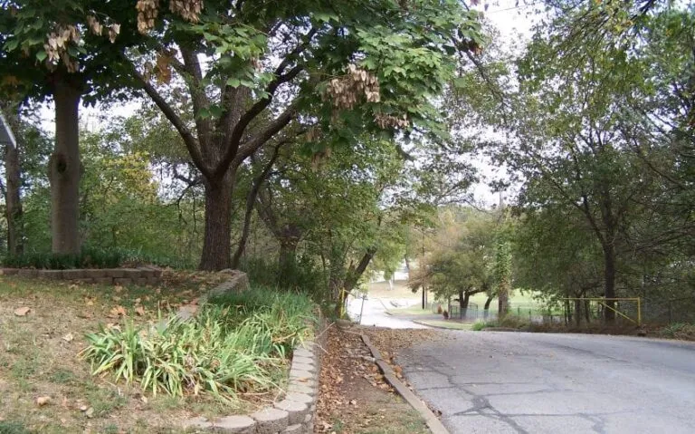 100 5133 850x530 1 768x479