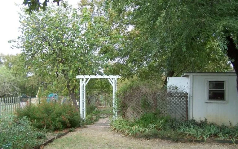 100 5137 850x530 1 768x479