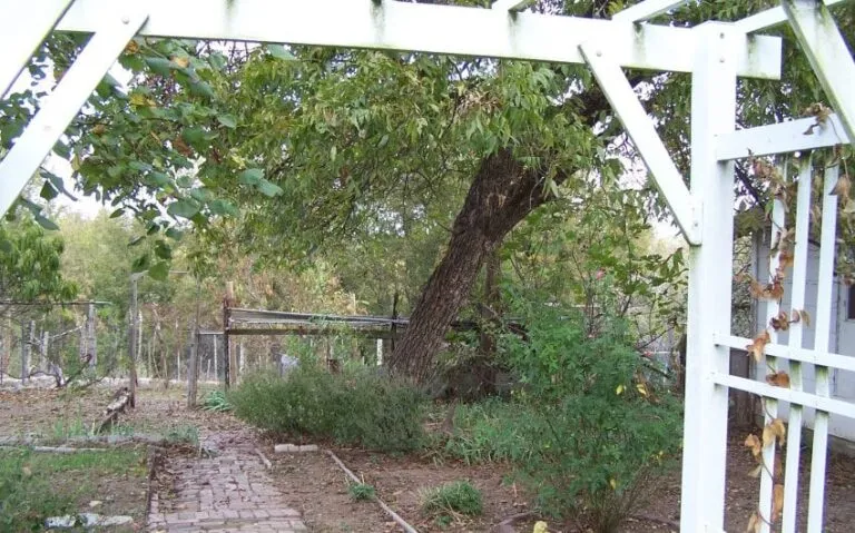 100 5138 850x530 1 768x479