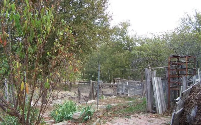 100 5139 850x530 1 768x479