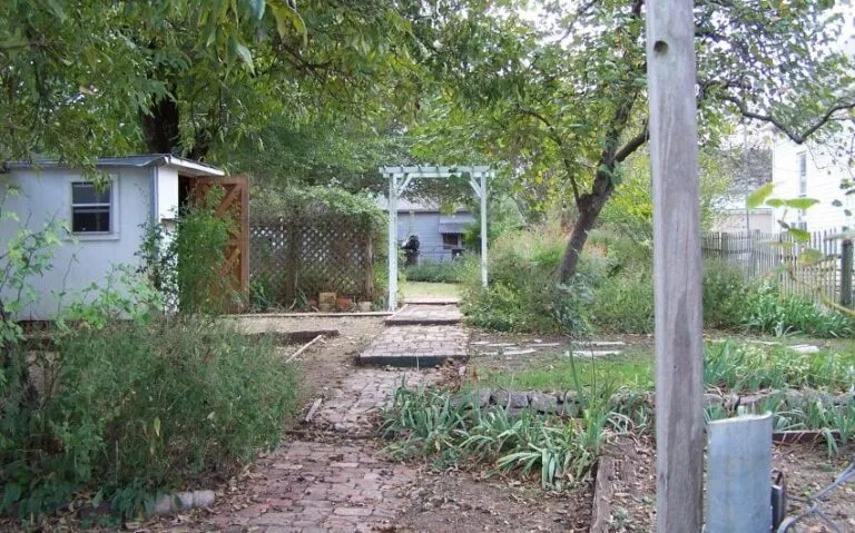 100 5141 850x530 1 768x479