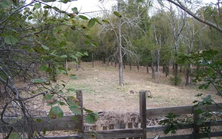 100 5143 850x530 1 768x479