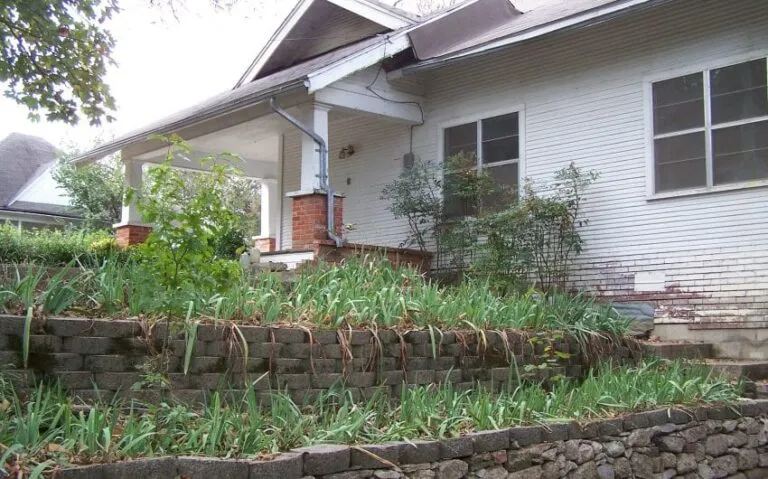 100 5148 850x530 1 768x479