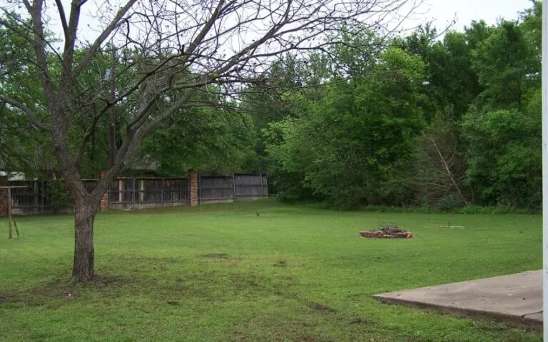 100 5176 850x530 1 768x479