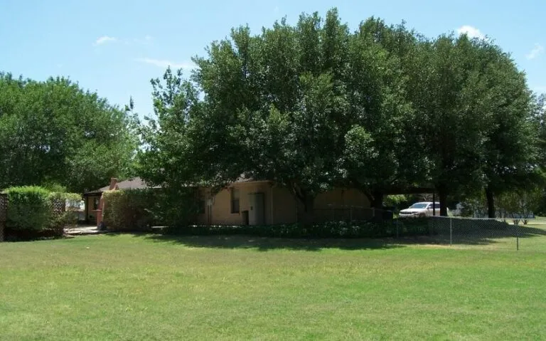 100 5274 850x530 1 768x479