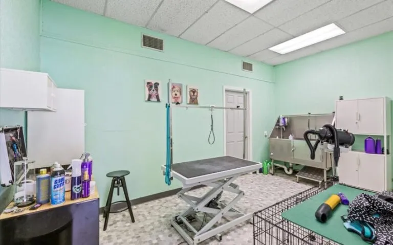 11 115 E Franklin 6 850x530 1 768x479