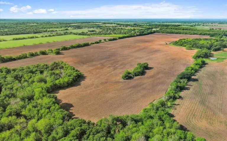 11 HCR 1212 11 850x530 1 768x479