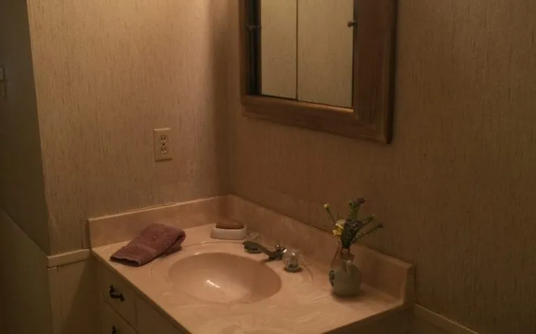 110 Mock Mast bath sink e1500329401280 850x530 1 768x479