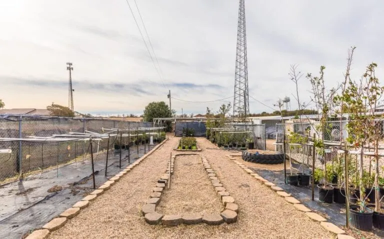 11 BN4A5224 850x530 1 768x479