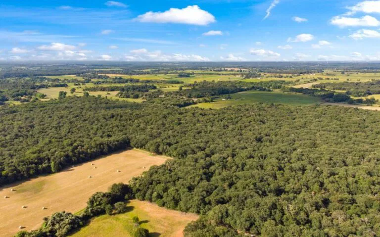 11 HCR 1307 10 mls 850x530 1 768x479