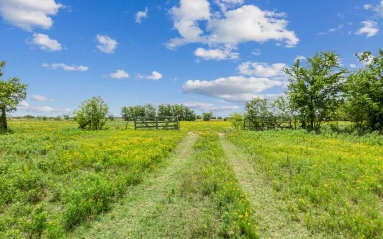 13 1000 E Jefferson 6 mls 850x530 1 768x479