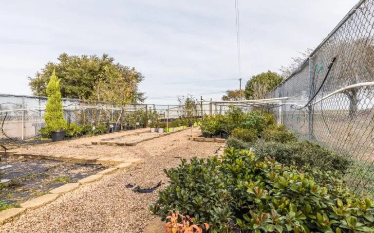 13 BN4A5248 850x530 1 768x479