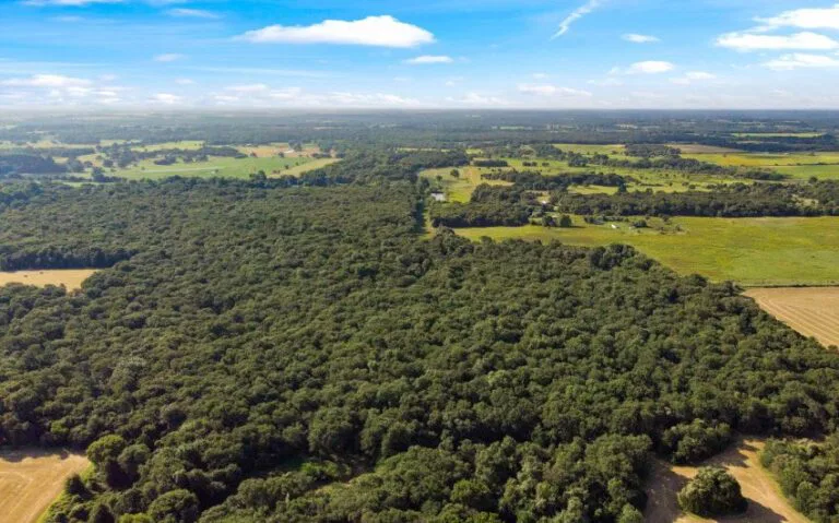 13 HCR 1307 12 mls 850x530 1 768x479