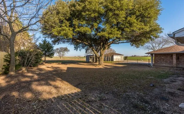 14 BN4A1624 850x530 1 768x479