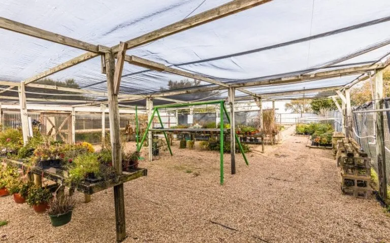 14 BN4A5258 850x530 1 768x479