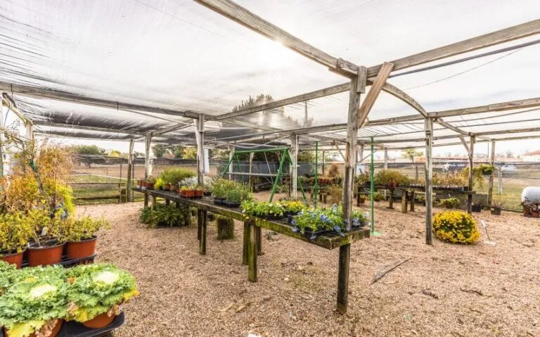 16 BN4A5268 850x530 1 768x479