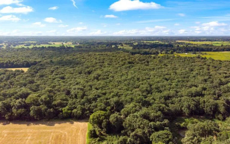 16 HCR 1307 15 mls 850x530 1 768x479