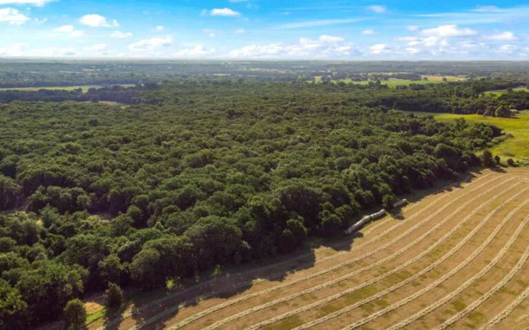 17 HCR 1307 16 mls 850x530 1 768x479