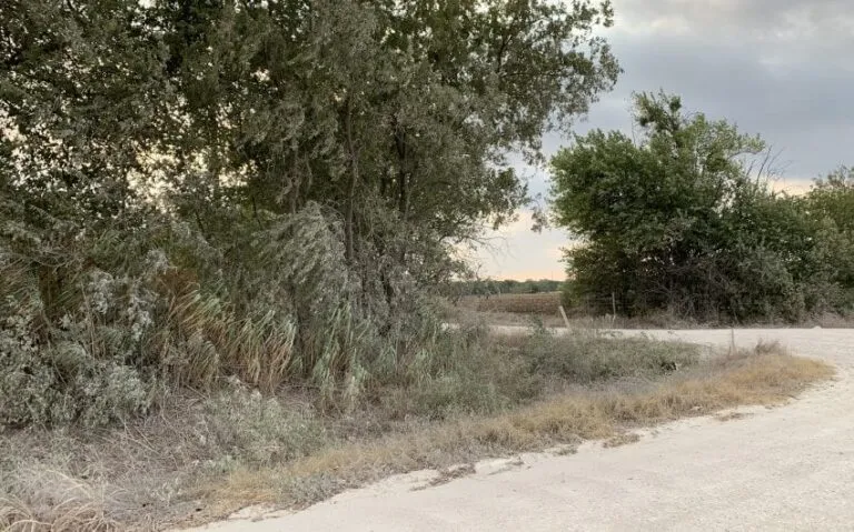 2128 HCR 2124 LP Whitney PHOTO 5 850x530 1 768x479