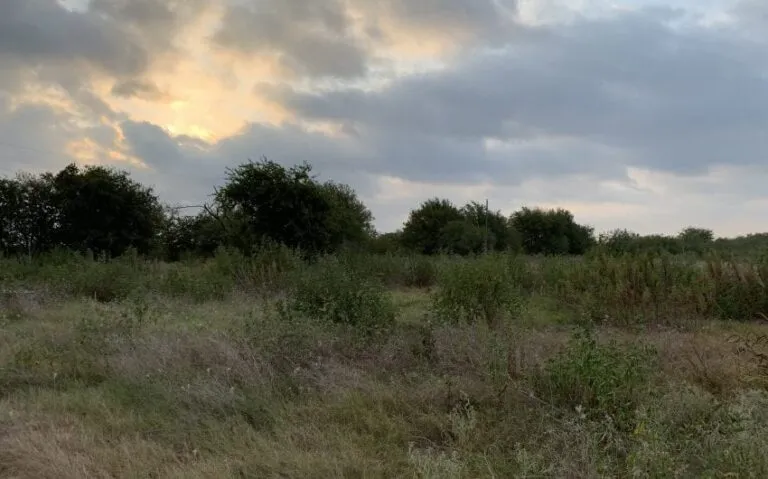 2128 hcr 2124 LP Whitney PHOTO 4 850x530 1 768x479