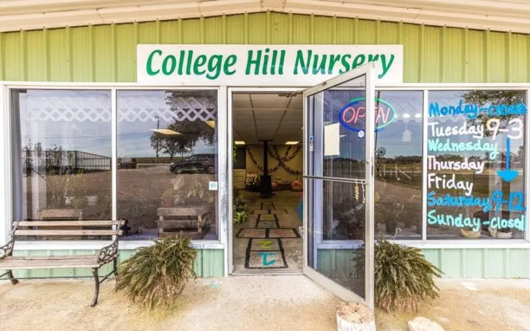 23 BN4A5273 850x530 1 768x479